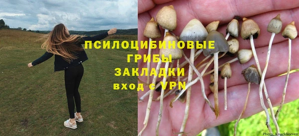 стафф Баксан
